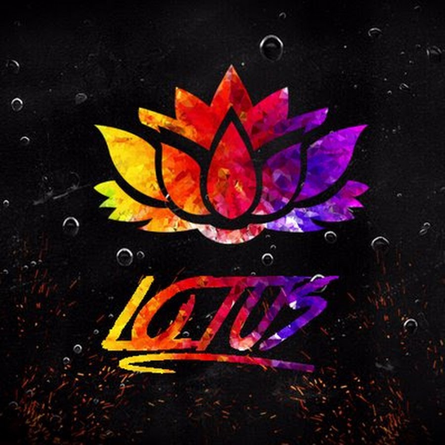 L стенд lotus