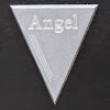 Angel ECU