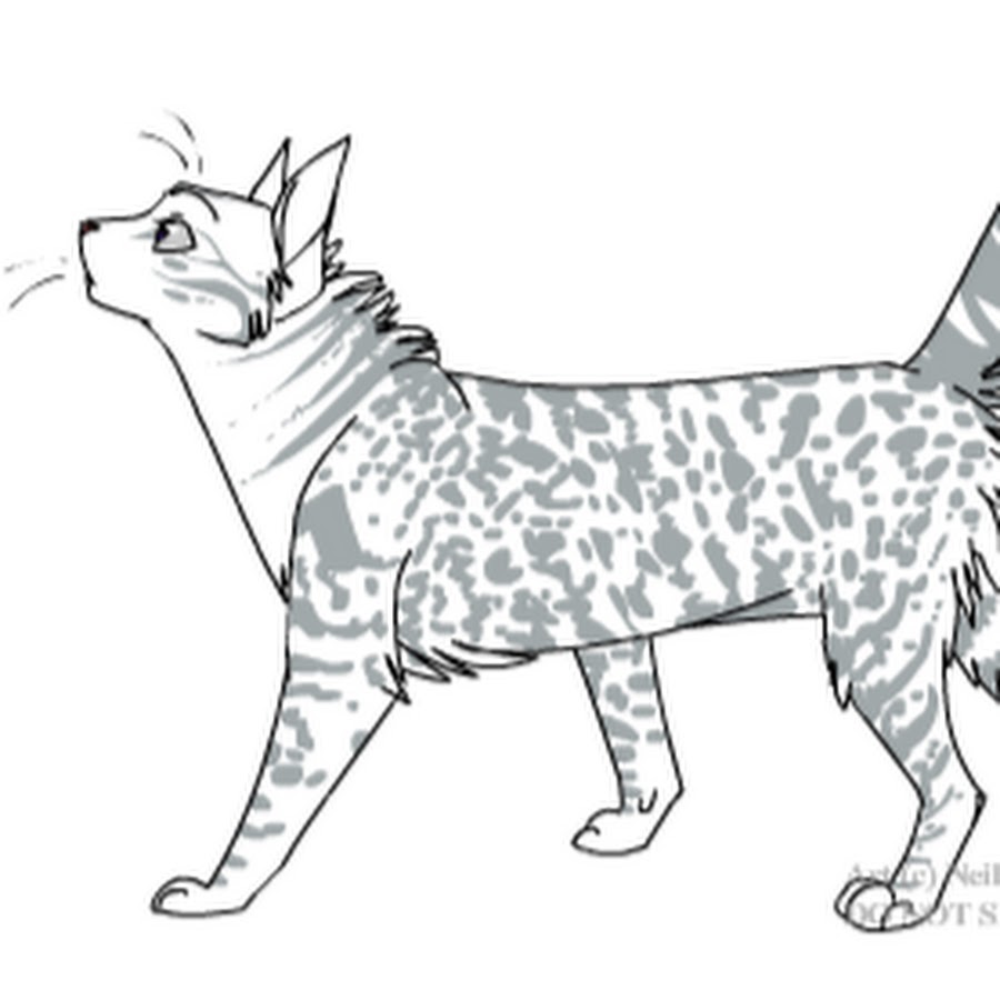 майнкрафт карта коты воители. The warriors map. коты воители карта леса. майнкрафт карта коты воители. майнкрафт карта коты воители.