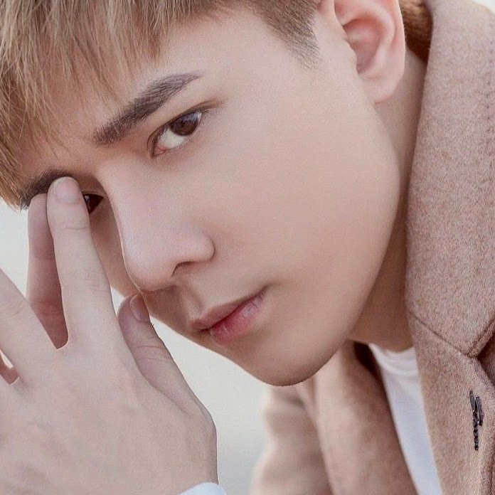 Nhật Phong & Đình Dũng Net Worth & Earnings (2026)