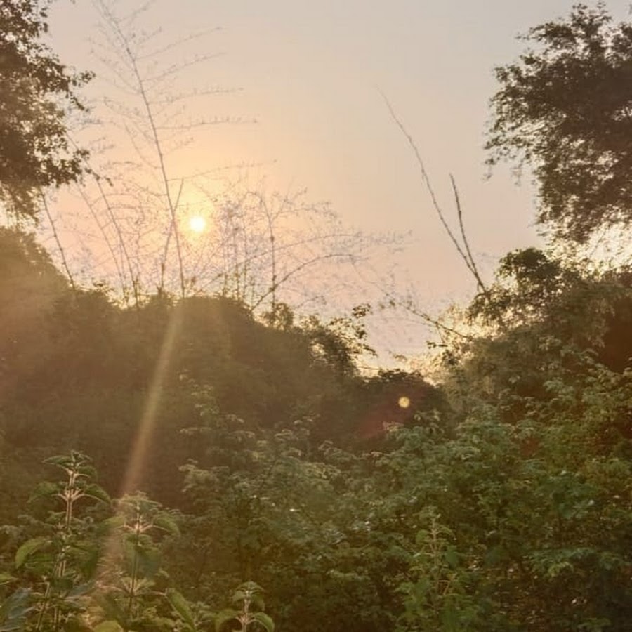 Rimpu Shekh - YouTube