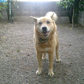 ��������� YouTube