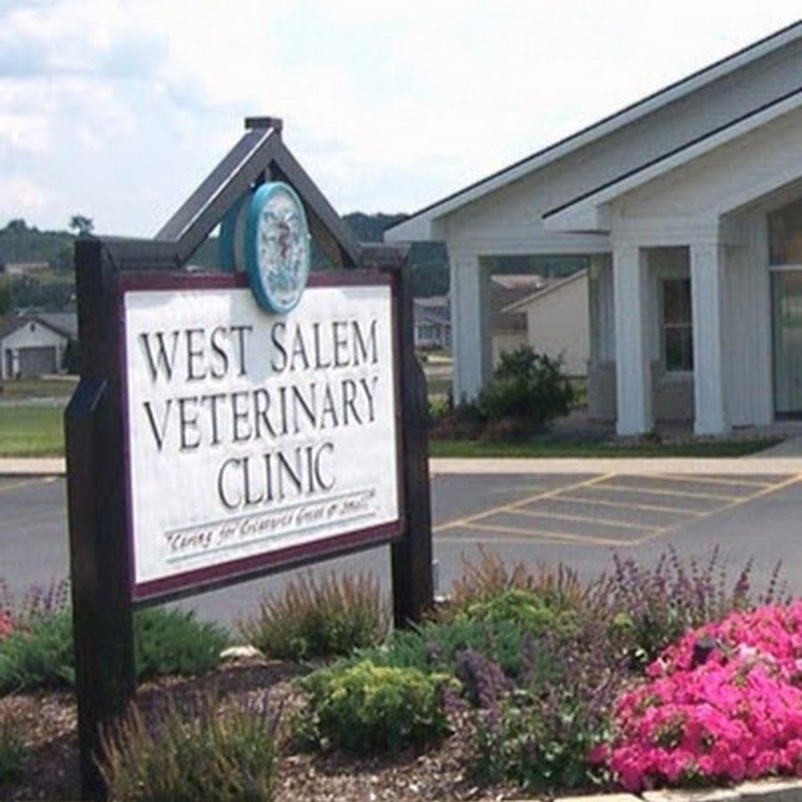 Info West Salem Veterinary Clinic YouTube