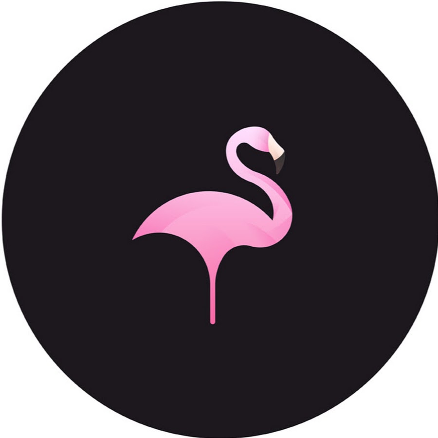 Ms Flamingo - YouTube