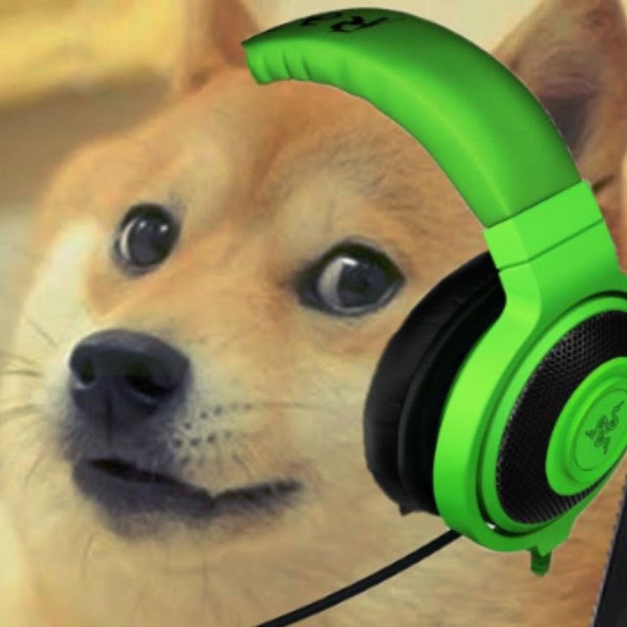 Gamer Doge 1243 YouTube