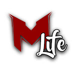 MrLEV12 ́s LIFE Net Worth