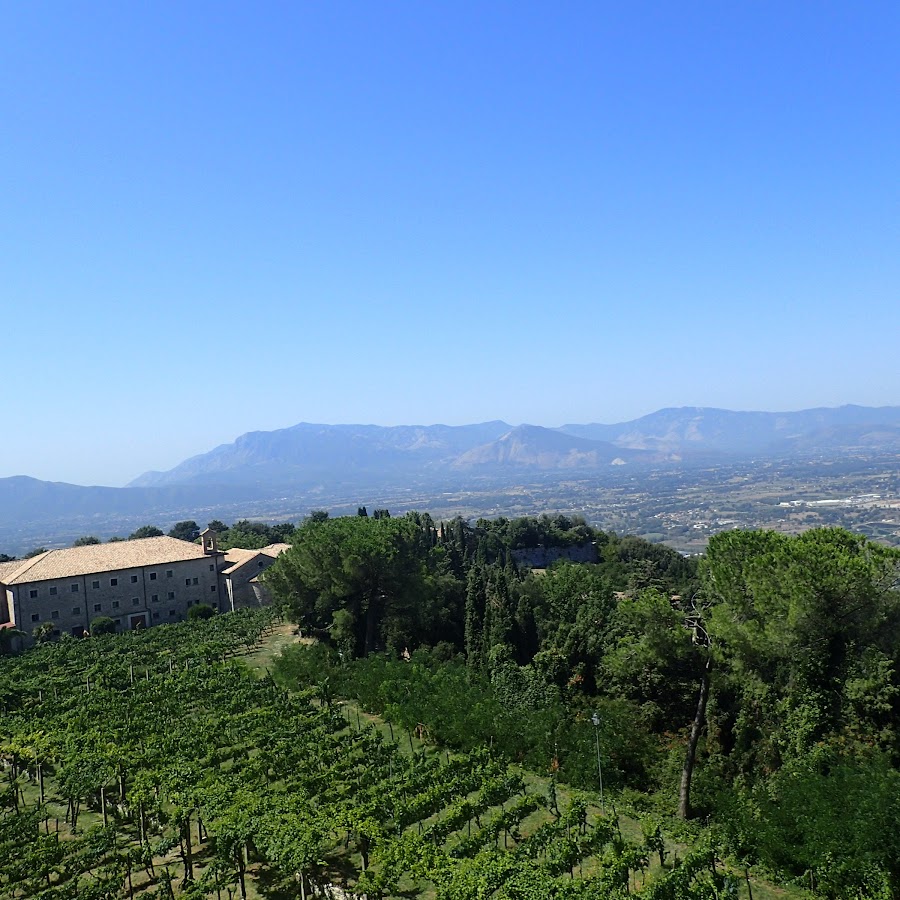 international playboy - YouTube