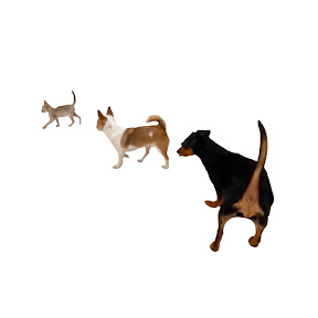 Τ󤤤channel(YouTuberΤ󤤤)