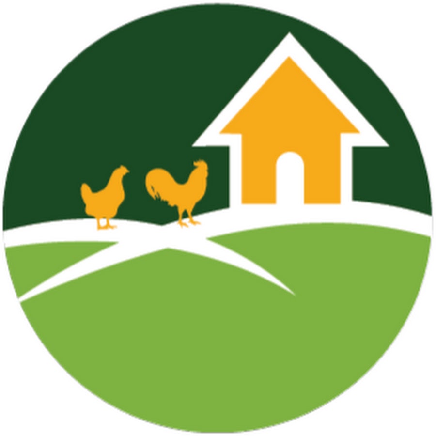 Backyard Chicken Coops Youtube