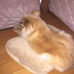 yujinboゆうじんぼう