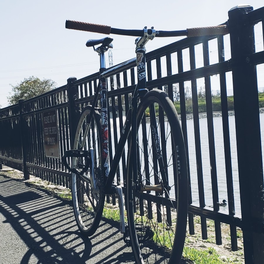 Blue hawk Videos - YouTube