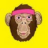prettymonkeystudio