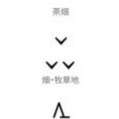 チャンネル柳宝