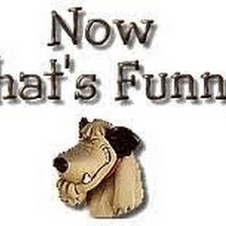 стишок про цвета на английском. Funny that. Im funny значок. стих i see green i. Funny that.