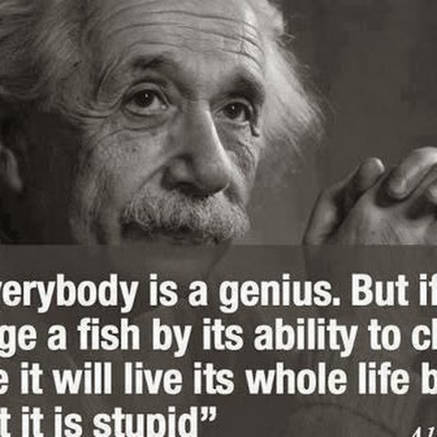 Everybody is a genius but if you judge a tree. Its ability. Эйнштейн цитаты. Everybody is a genius einstein. Everybody is a genius einstein.