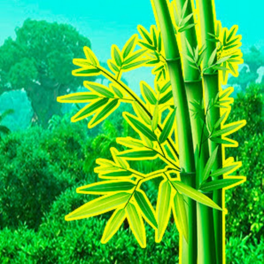 AMAZING! Primitive Survival - YouTube
