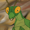 Rexog