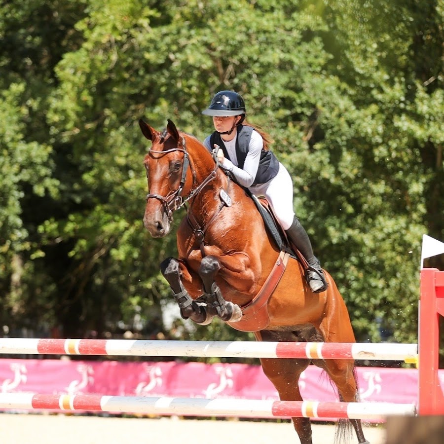 Résultat de recherche d'images pour "les poneys de zoé"