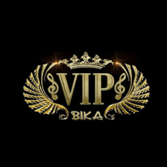 VIP Team avatar