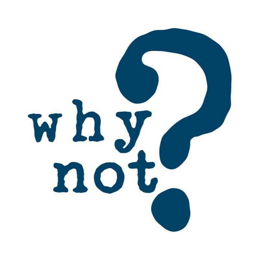 Why not we. Why not. надпись why not. логотип not. why not аватарка.