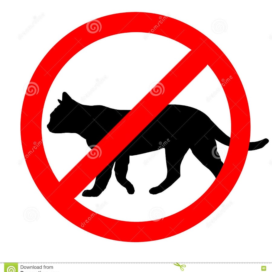 Котам вход запрещен картинки