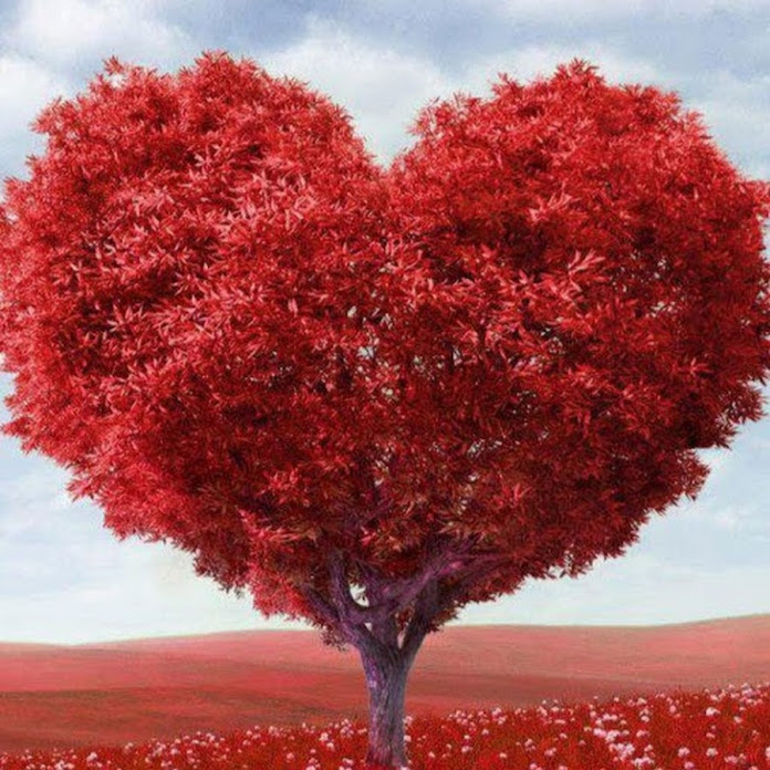 발라드 노래모음 Net Worth & Earnings (2026)