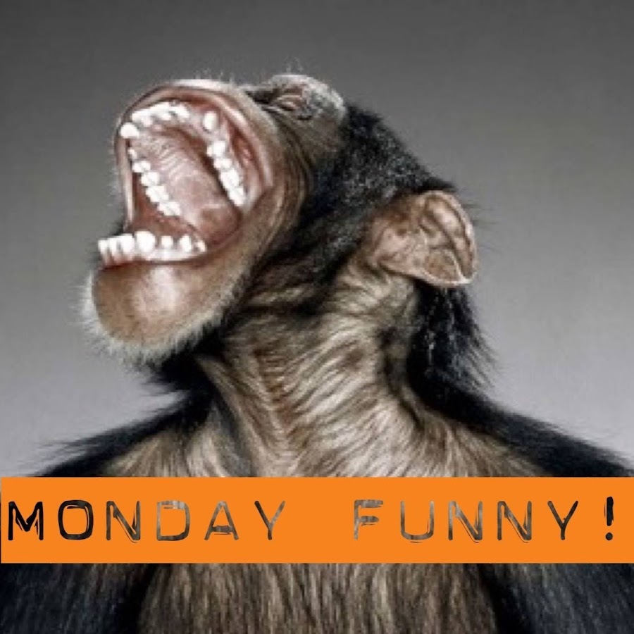 Monday Funny 