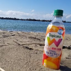 タダノヒト