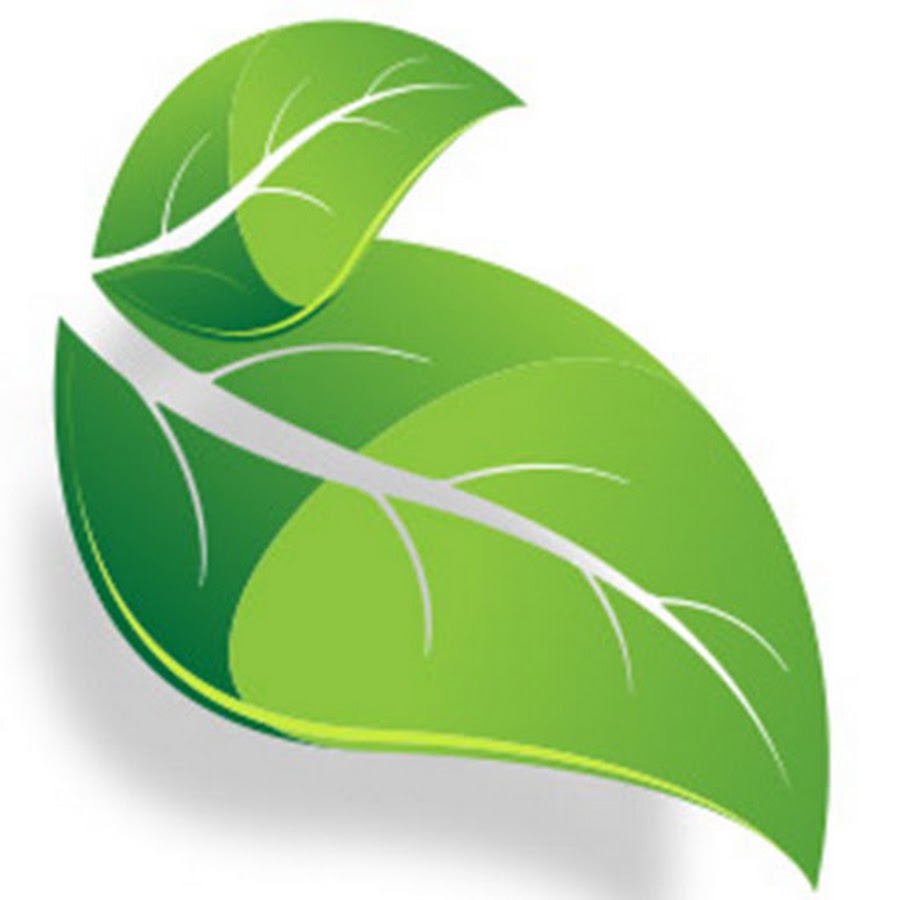 Эко лист. Лист логотип. Эко лист. Сайт эко лист. Экологический лист.