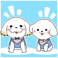 チャンネルゆきかざ