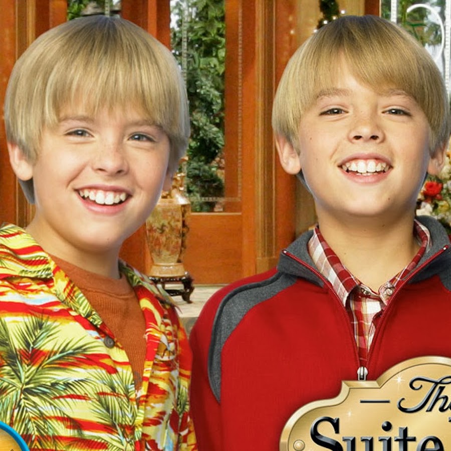 The show centers upon Zack and Cody Martin, twin brothers who live in the T...