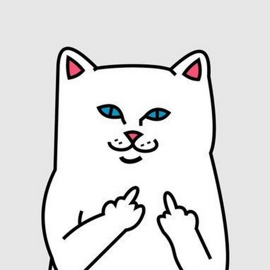 Кот с факами картинка