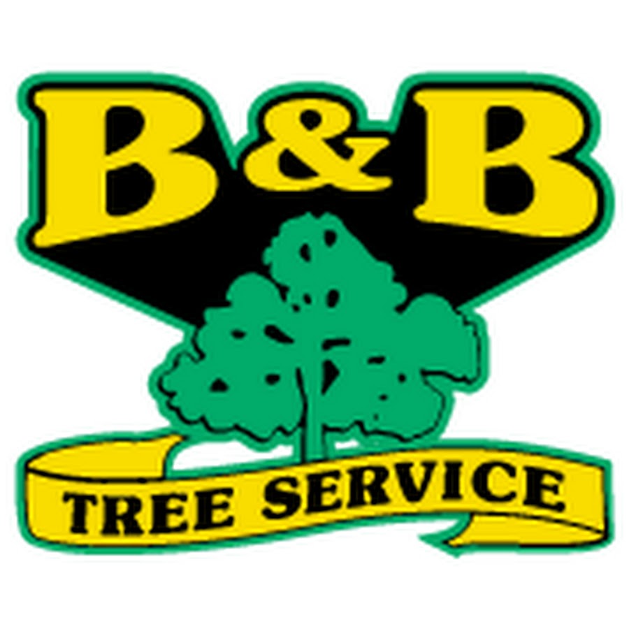 B&B Tree Service, Inc. YouTube