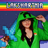 What could Lakshart Nia buy with $393.1 thousand?