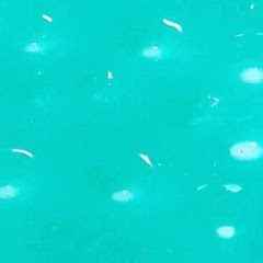 クリエイター 仮ストップモーション