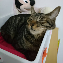 テテ玉。