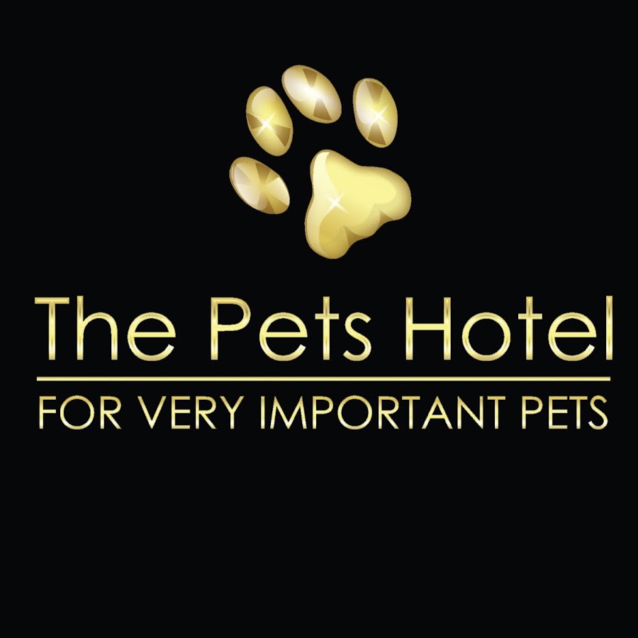 The Pets Hotel YouTube