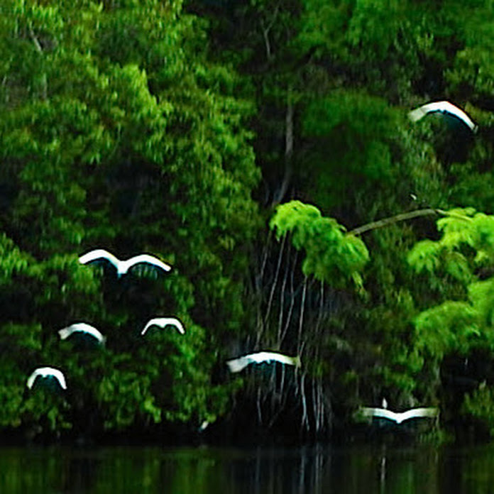 Fishing KP Net Worth & Earnings (2026)