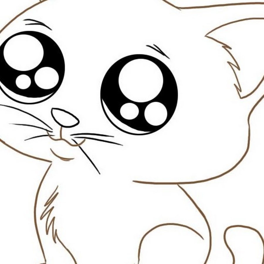 Милые глазки котика рисунок