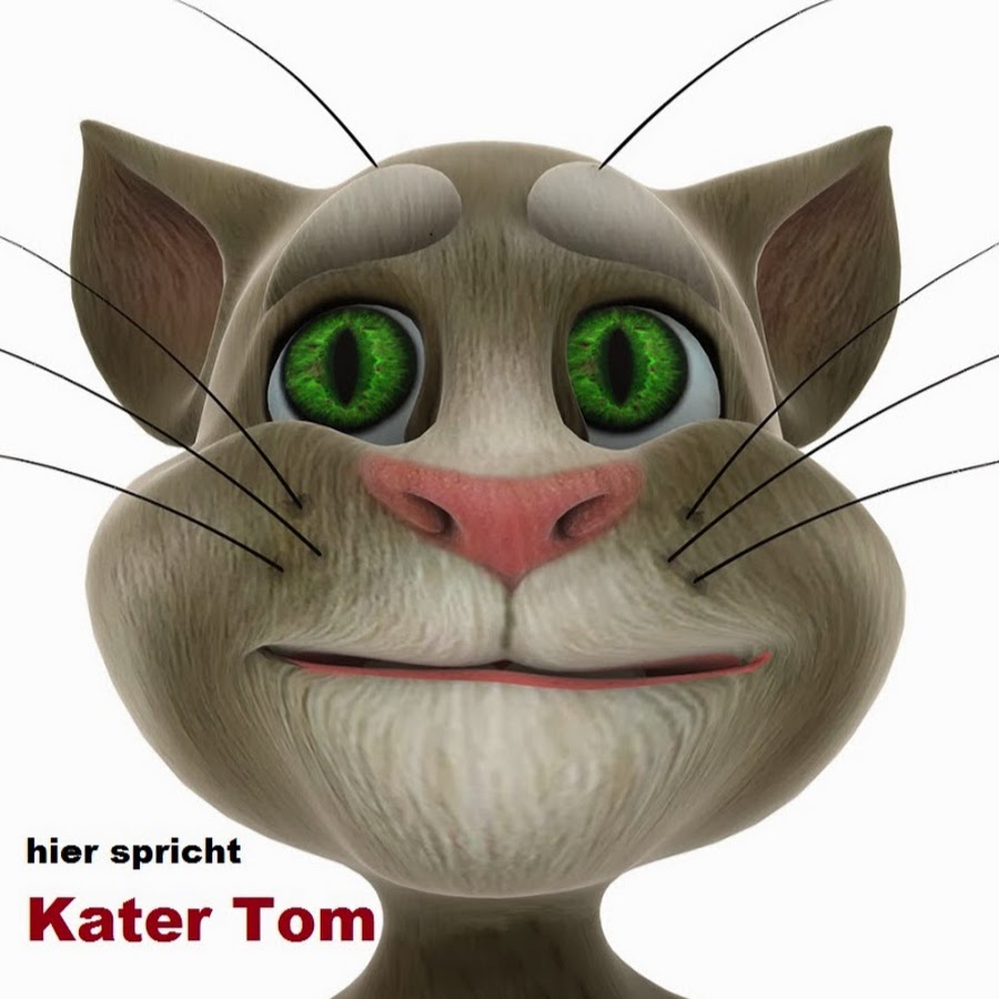 Talking Tom Cat - Hier spricht Kater Tom 