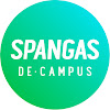 What could SpangaS buy with $100 thousand?