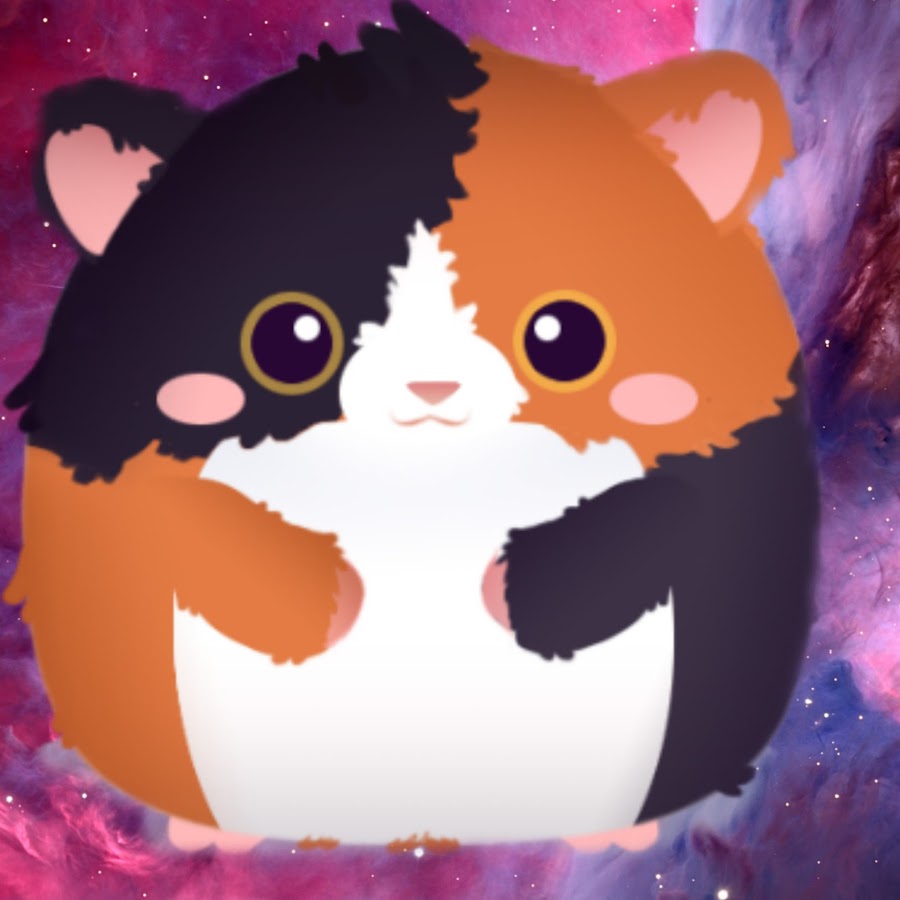 Hamster Channel YouTube