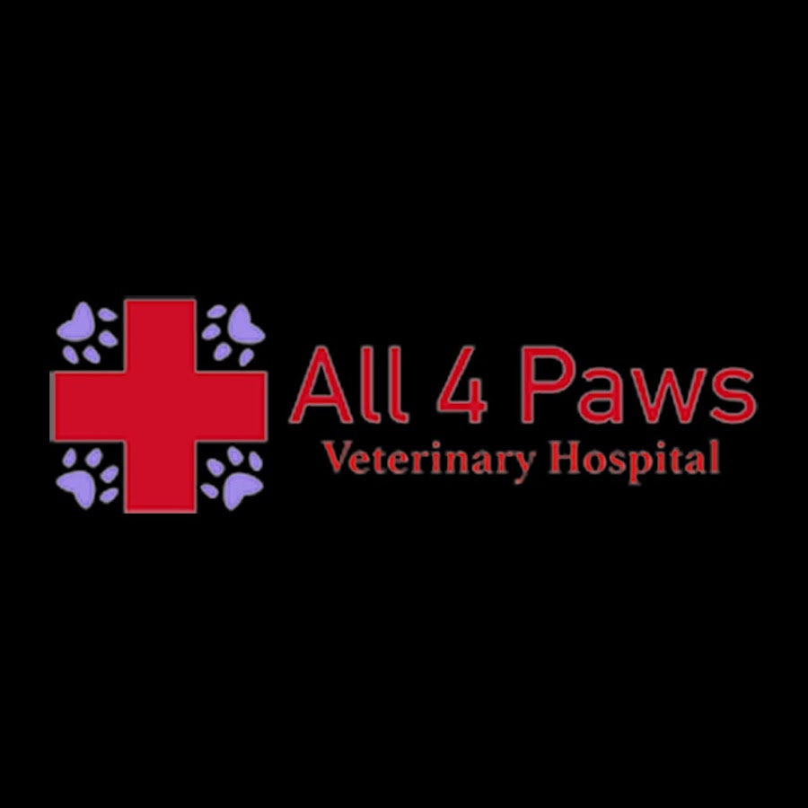 All 4 Paws Veterinary Hospital YouTube