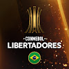 What could CONMEBOL Libertadores buy with $321.91 thousand?