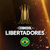What could CONMEBOL Libertadores buy with $321.9 thousand?