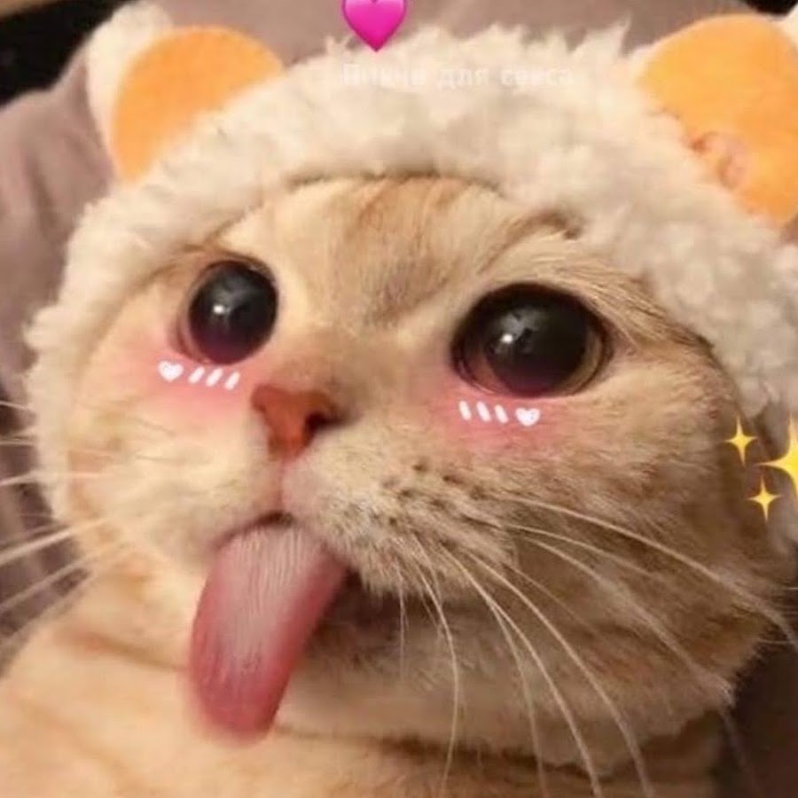 �������� � �������� ���� �� �������