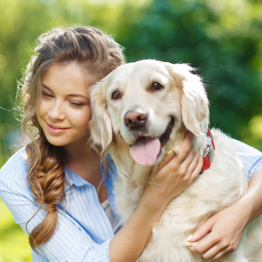 Доброта 25. Pets studying.