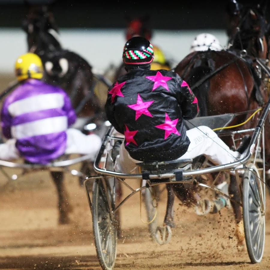 Harness Racing SA YouTube