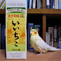 「いいちこインコ」飼い主・花沢りん吉