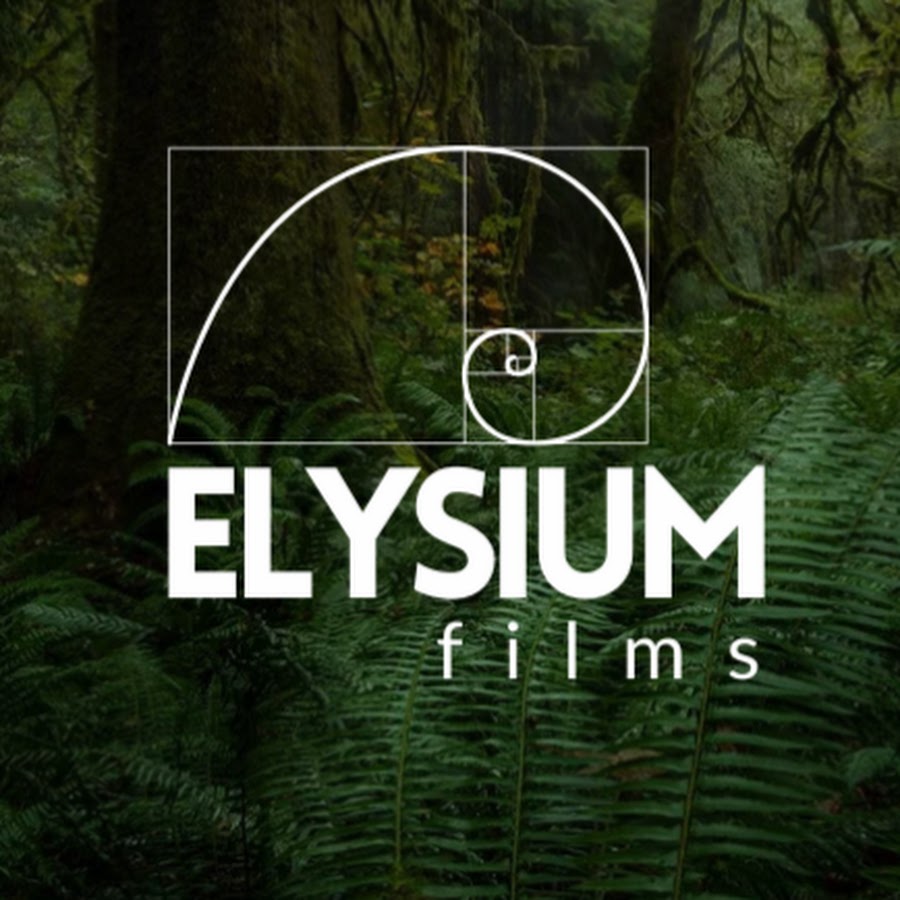 Элизиум проект. Elysium project. Малая элизиум. Из какой мифологии элизиум. Элизиум проект.